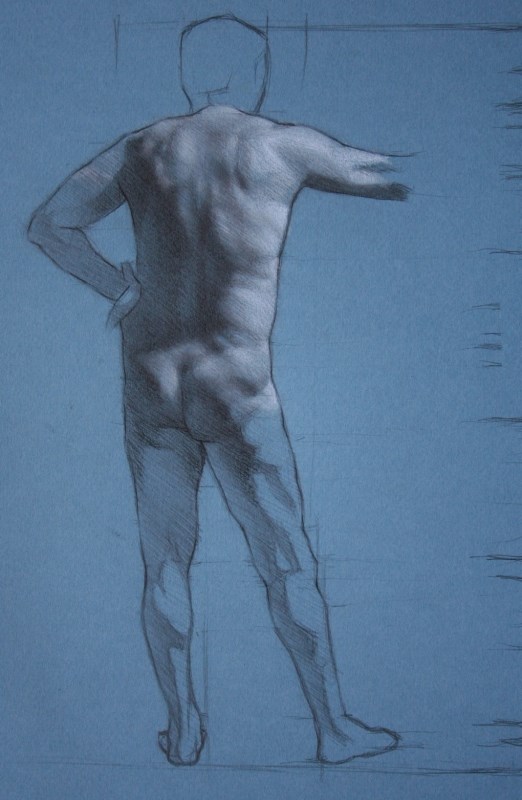 Anatomy drawing